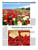 VM1Ves034.pdf