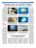 VM2Ves008.pdf